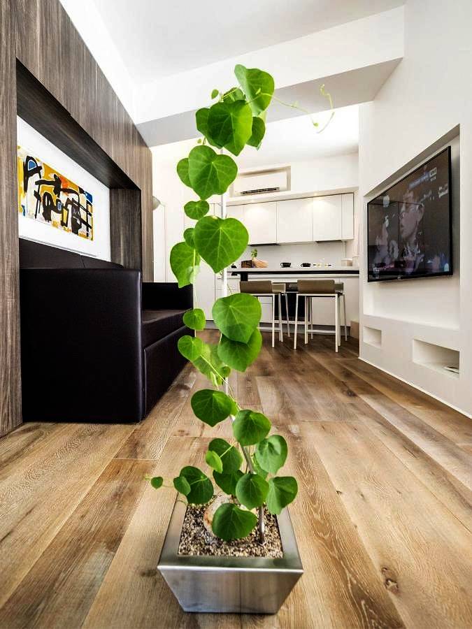 Maison d’hôte pour 3 personnes à Pérouse - 4