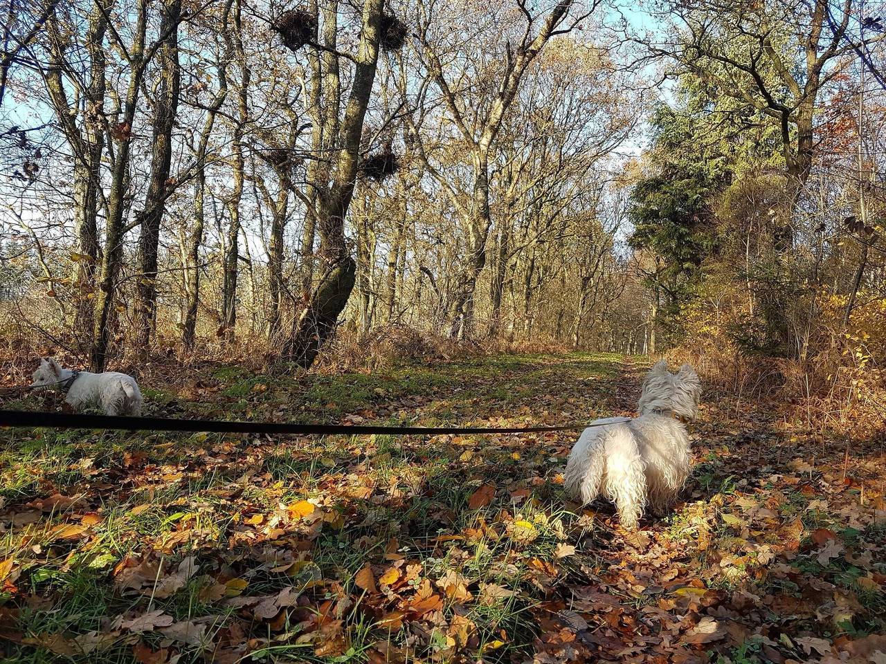 4 person feriebolig i Toftlund-By Traum in Arrild, Tønder Kommune