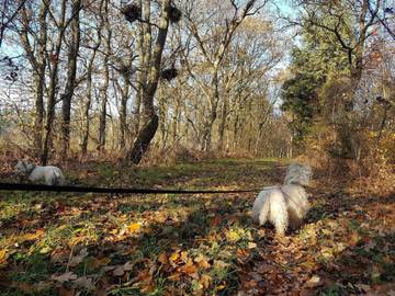 Ferieudlejning til 4 Personer i Arrild, Tønder Kommune, Billede 4