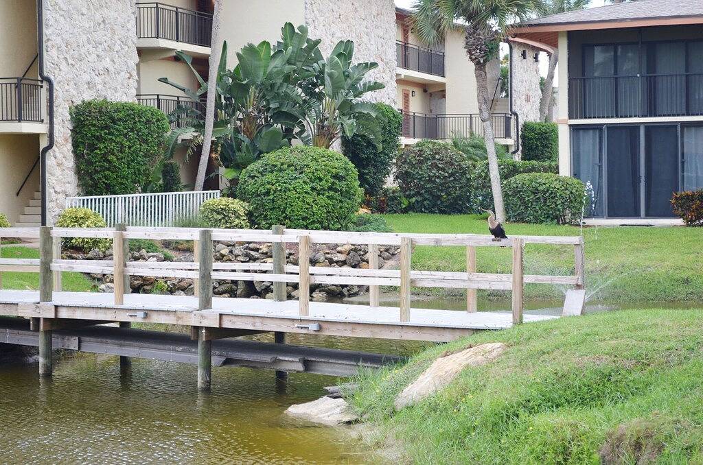 Ganze Wohnung, Ov 617 Pond / Golf Course View Condo-Paradies Ferienwohnung in Ocean Village in Fort Pierce, Hutchinson Island