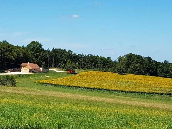 Chambre d’hôte pour 2 personnes, avec jardin et jacuzzi en Dordogne - 4