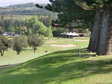 Villa for 2 Guests in Kapalua, Maui, Picture 2
