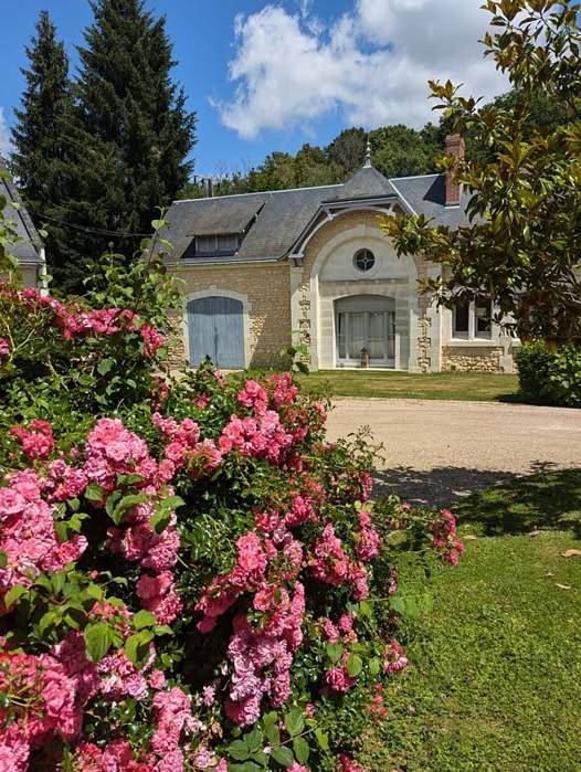 Gîte pour 3 personnes, avec jardin et piscine, animaux acceptés à Chissay-en-Touraine - 2