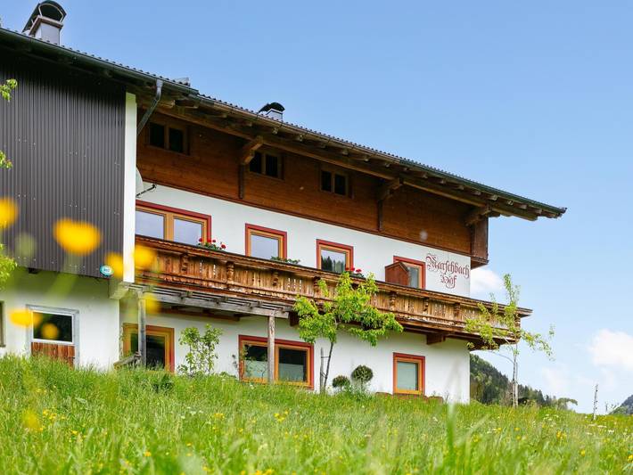 Hütte für 8 Personen, mit Garten, mit Haustier in Walchsee - 4