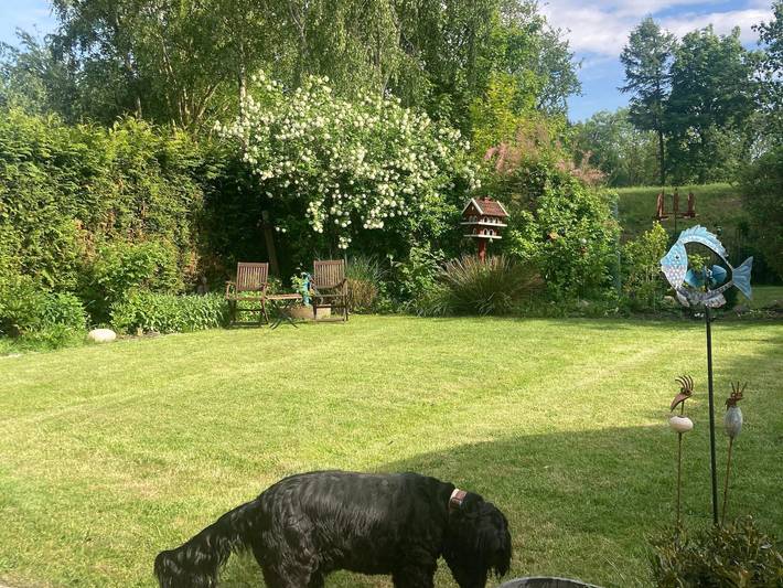 Ferienhaus für 5 Personen, mit Garten und Sauna, mit Haustier in Tönning - 4