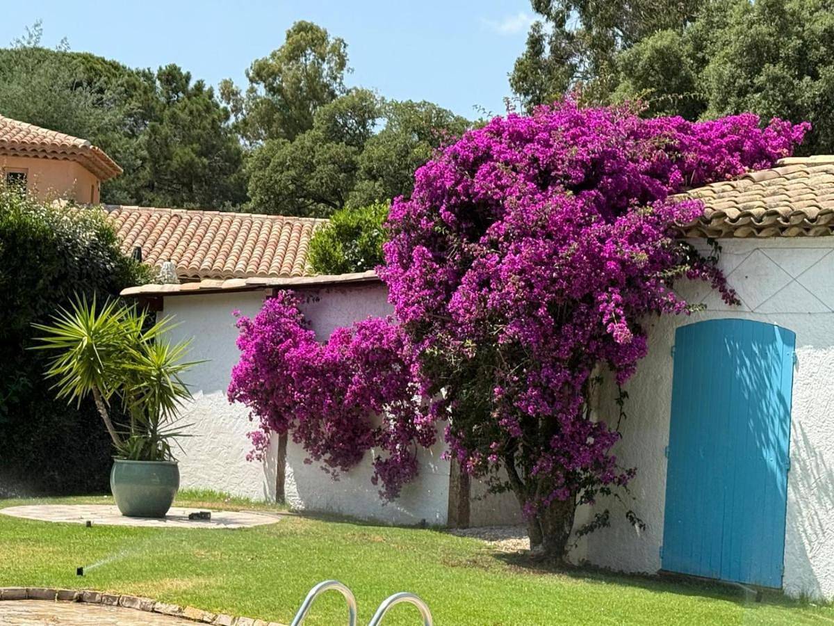 Villa Provençal Sttropez Ramatuelle Pampelonne beach in Pampelonne, Ramatuelle