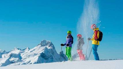 Vacation Apartment for 6 Guests in Au, Bregenz Forest, Picture 1