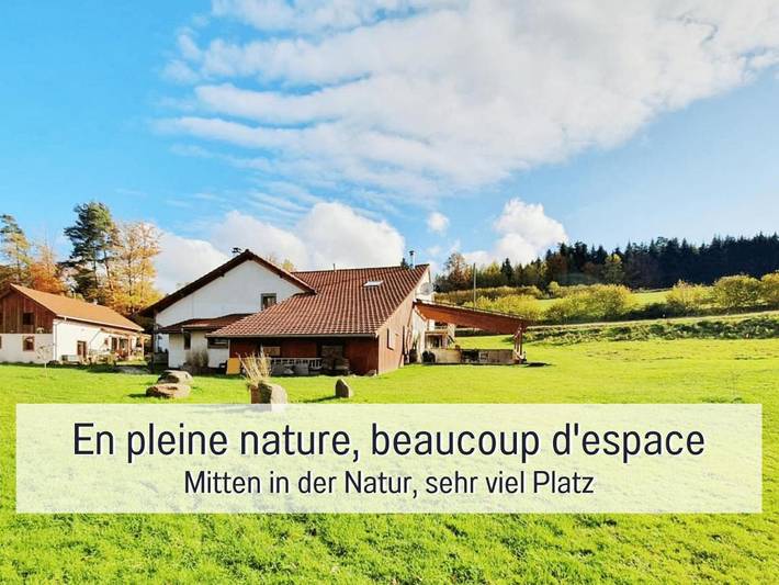 Gîte pour 15 personnes, avec vue et jardin, adapté aux familles à La Chapelle-devant-Bruyères - 3