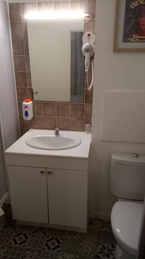 Hôtel pour 2 personnes, avec vue et jardin à Lussac-les-Châteaux - 4