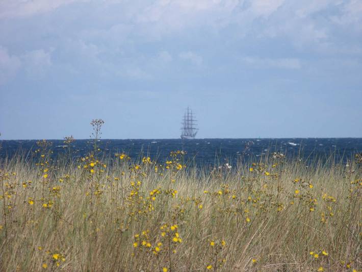Ferienwohnung für 4 Personen, mit Garten und Balkon, kinderfreundlich in Diedrichshagen - 4