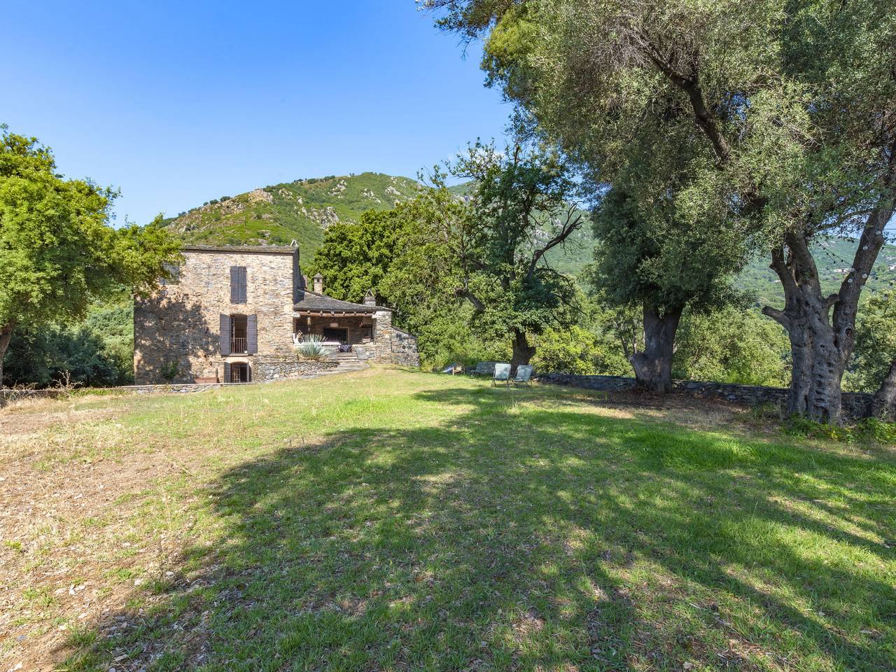 Formicaccia in Valle-di-Campoloro, Corte und Umgebung