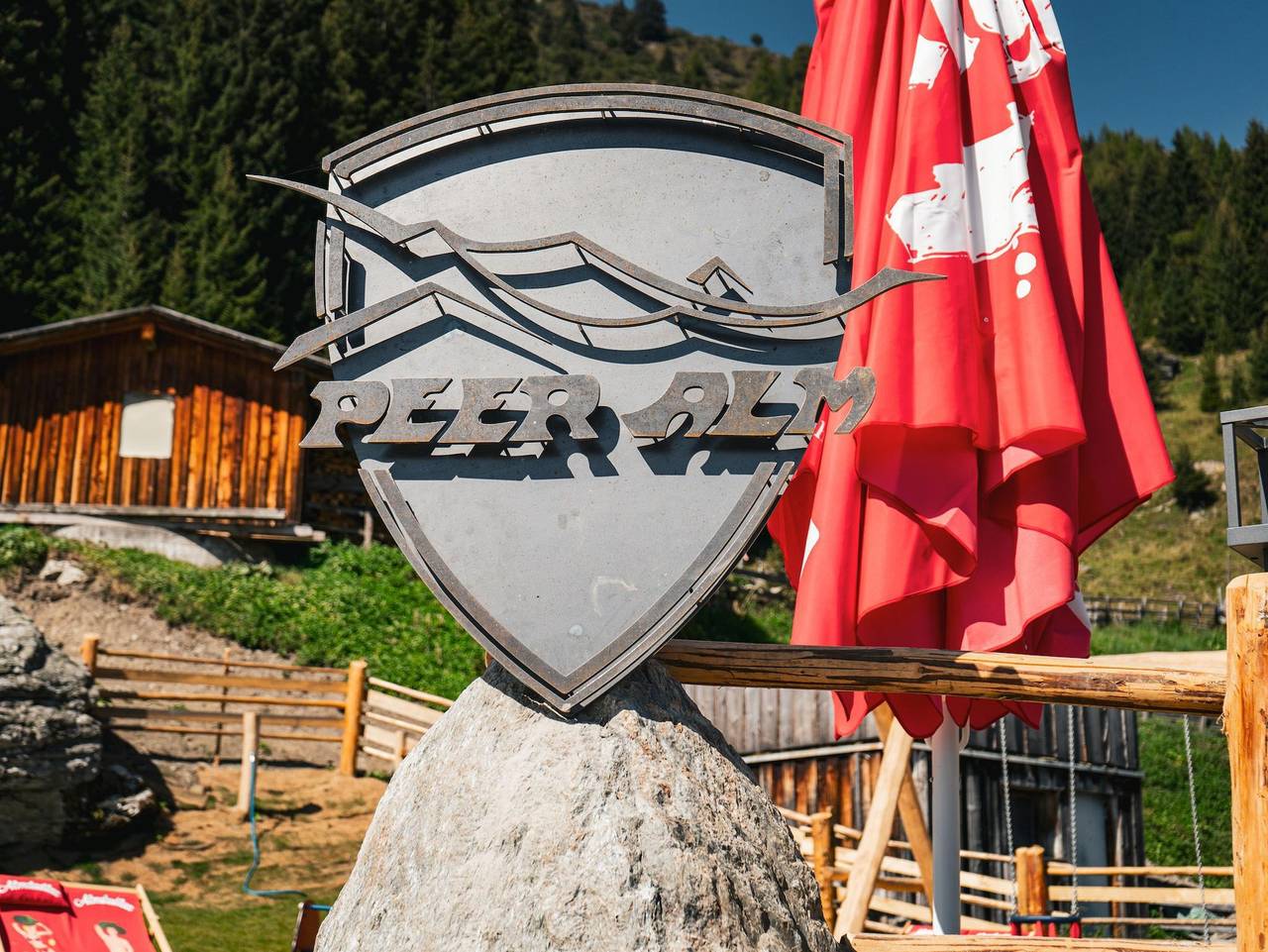 Peer Alm - Arnika in Tuxer Alpen, Navis