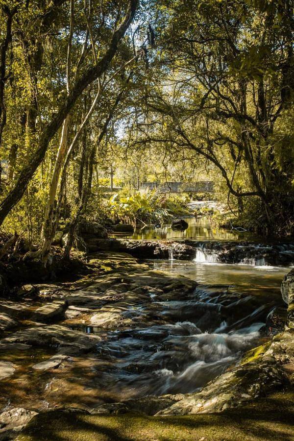 Casas e apartamentos de temporada para 8 pessoas, com vista para o lago e jardim e ainda vista, com animais de estimação em Farroupilha