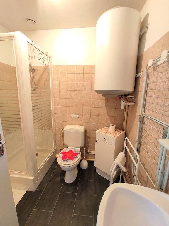 Appartement entier, Appartement n°61 - Amiliole Location in La Roche-Posay, Vienne (France)