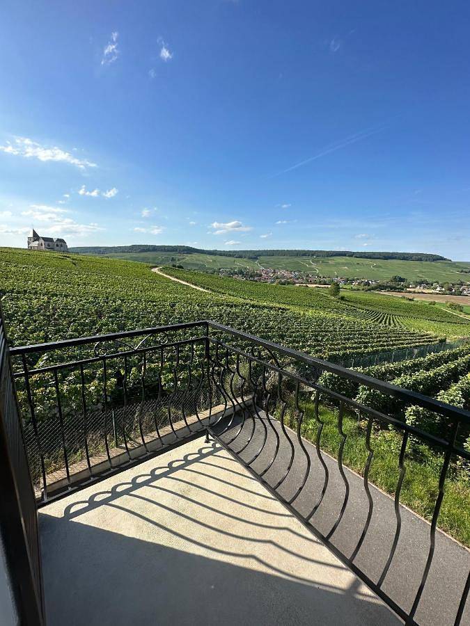 Au Coeur Du Terroir Champenois in Chavot-Courcourt, Marne