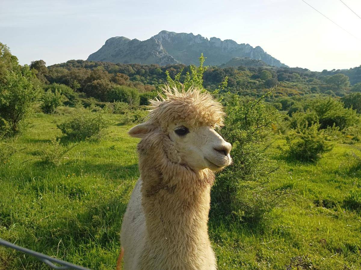 Agriturismo Bosco Pianetti in Gratteri, Provincia di Palermo