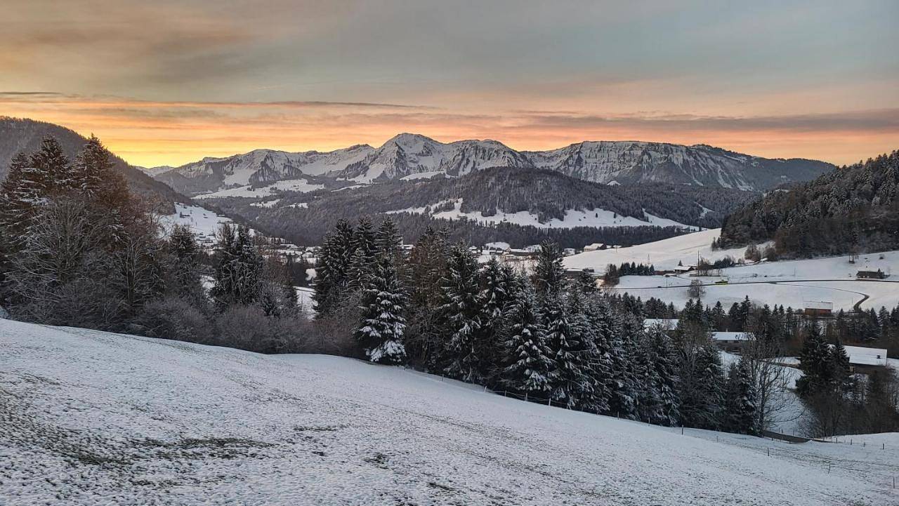 Ganze Wohnung, Haus Lang in Hittisau, Bodensee-Vorarlberg
