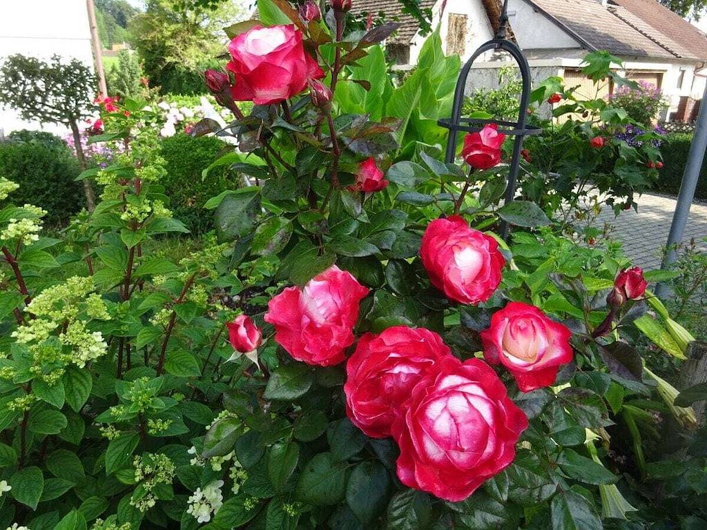 Apartamento vacacional con 2 dormitorios in Andechs, Lago Ammer