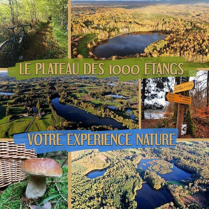Le Noisetier in Mélisey, Parc naturel régional des Ballons des Vosges