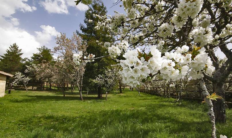 Casa rural para 6 personas, con vistas además de sauna y jardín, Familias con niños en Provincia de Segovia - 2