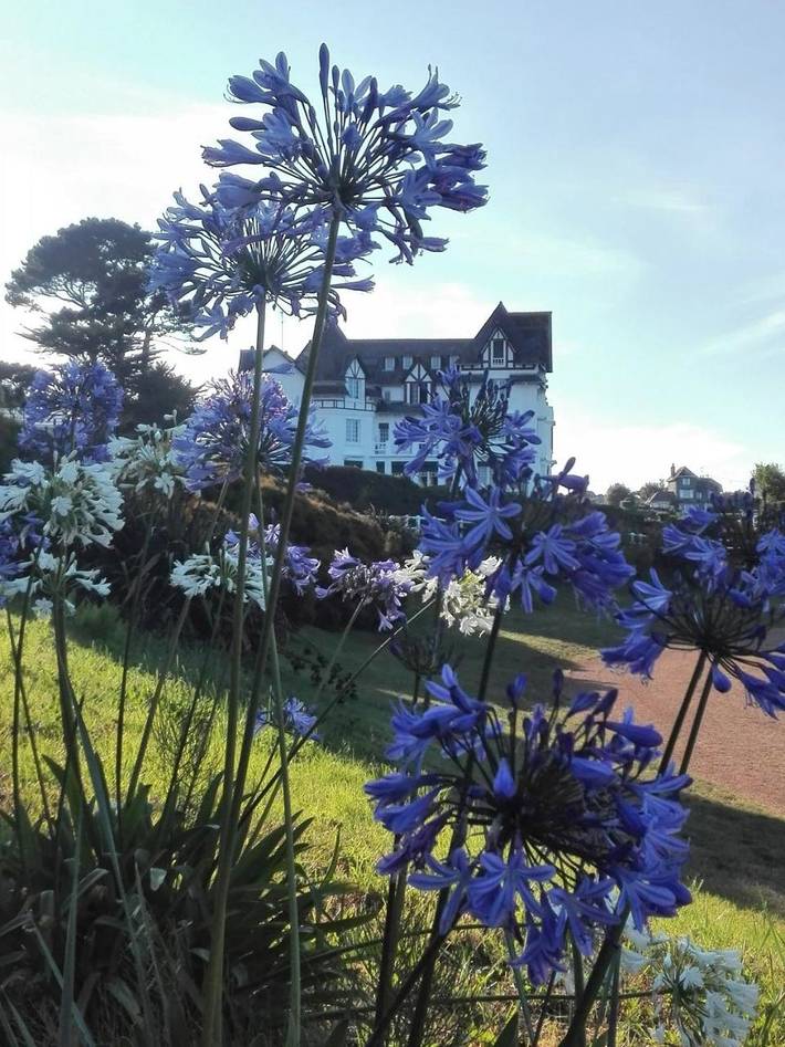 Gîte pour 2 personnes, avec jardin et vue à Saint-Quay-Portrieux - 4