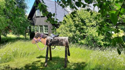 Ferienhaus für 8 Personen in Altenberg, Mittlere Erzgebirge, Bild 2