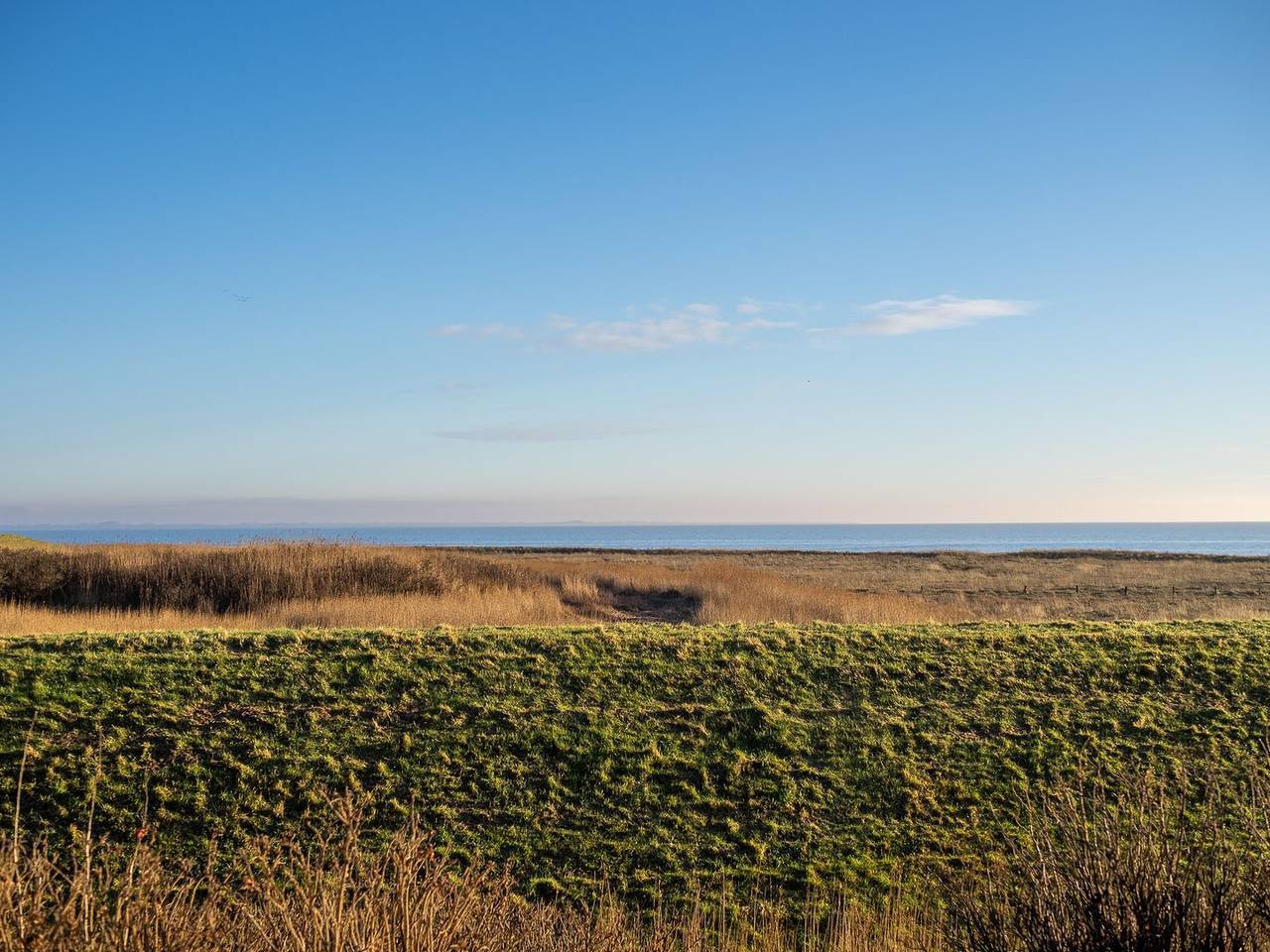 Ganze Wohnung, Apartment Emma direkte am Watt in Rantum auf Sylt in Rantum, Sylt (Gemeinde)