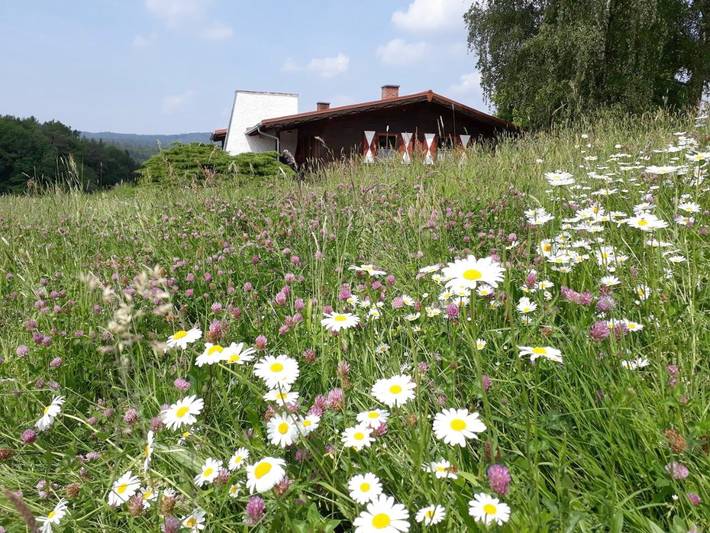Ferienhaus für 5 Personen, mit Ausblick und Garten in Spessart-Mainland - 3