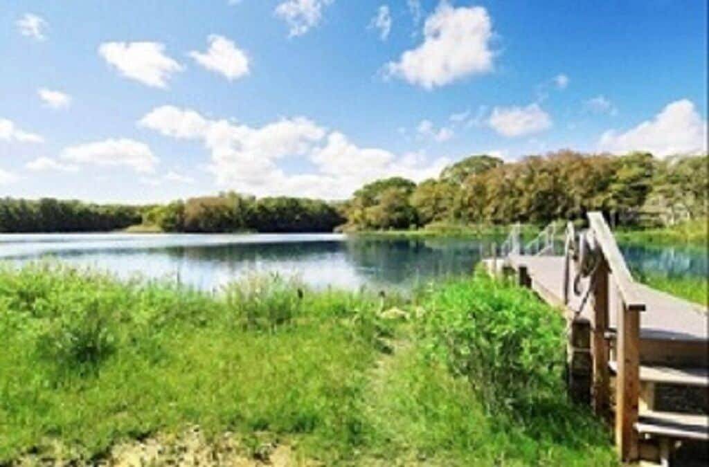 Vacation Home for 8 Guests in Northwest Harbor, North Fork