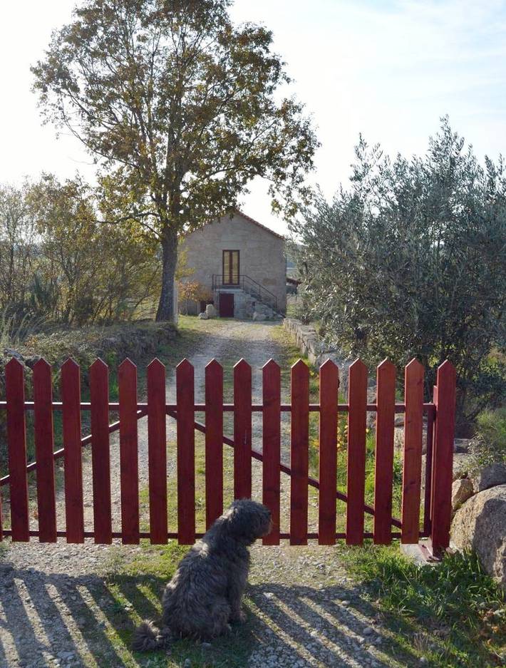 Maison de campagne pour 6 personnes, avec jardin et vue, animaux acceptés à Seia - 4