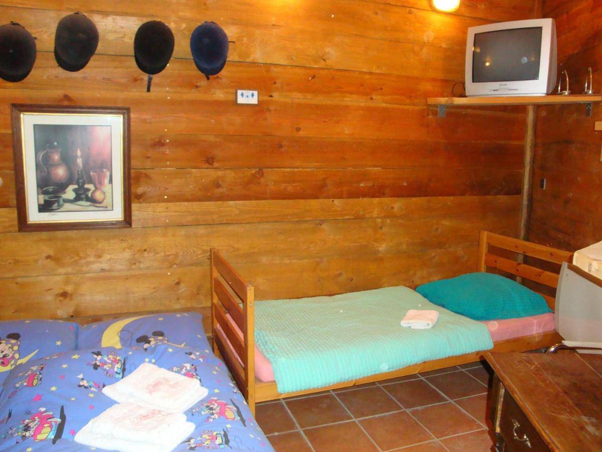Maison de vacances Alsace - Ferienhaus Elsaß - Holiday house Alsace in Bischwiller, Nord de l'Alsace