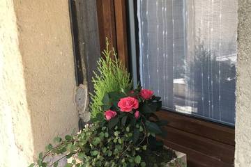 Gîte pour 3 personnes à Mormoiron