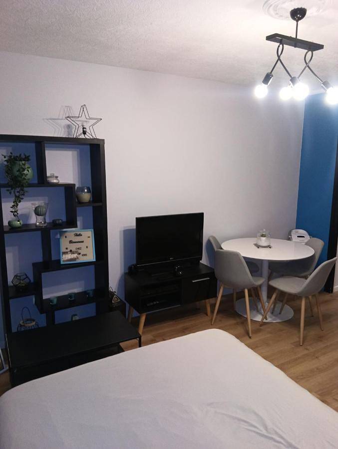 Appartement entier, Studio 115 4 étoiles in Châtel-Guyon, Parc naturel régional des Volcans d'Auvergne