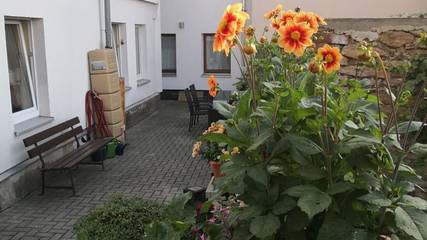 Ferienwohnung für 2 Personen, mit Garten, kinderfreundlich in Annaberg-Buchholz