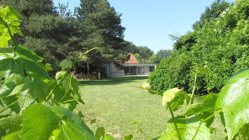 Location de vacances pour 12 personnes, avec jardin ainsi que piscine et vue à Maldegem - 3