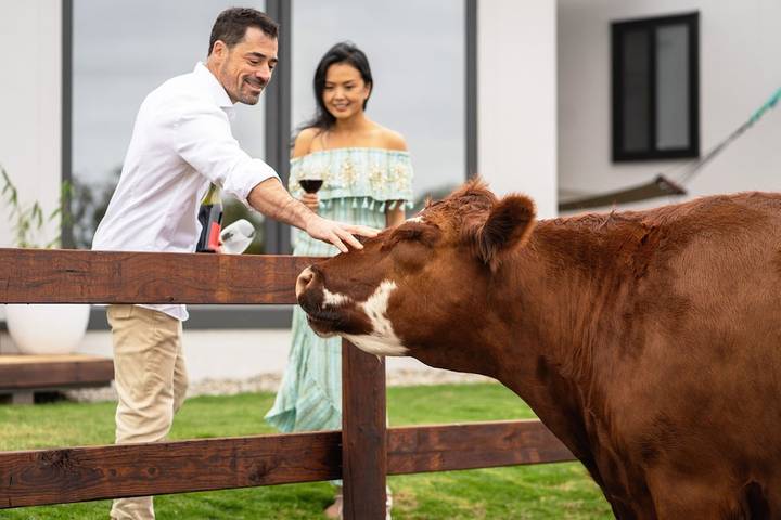 Chambre d’hôte pour 2 personnes, avec jardin et jacuzzi dans Australie - 3