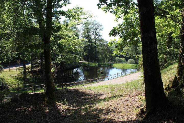 Gîte pour 4 personnes, avec jardin à Beaumont-du-Lac - 2