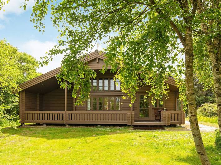 Ferienhaus für 8 Personen, mit Whirlpool und Sauna sowie Terrasse, kinderfreundlich in Holmsland Klit