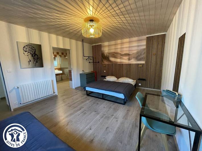 Gîte pour 8 personnes, avec piscine et terrasse ainsi que jardin et jacuzzi, animaux acceptés à Saint-Hilaire-de-Riez - 4