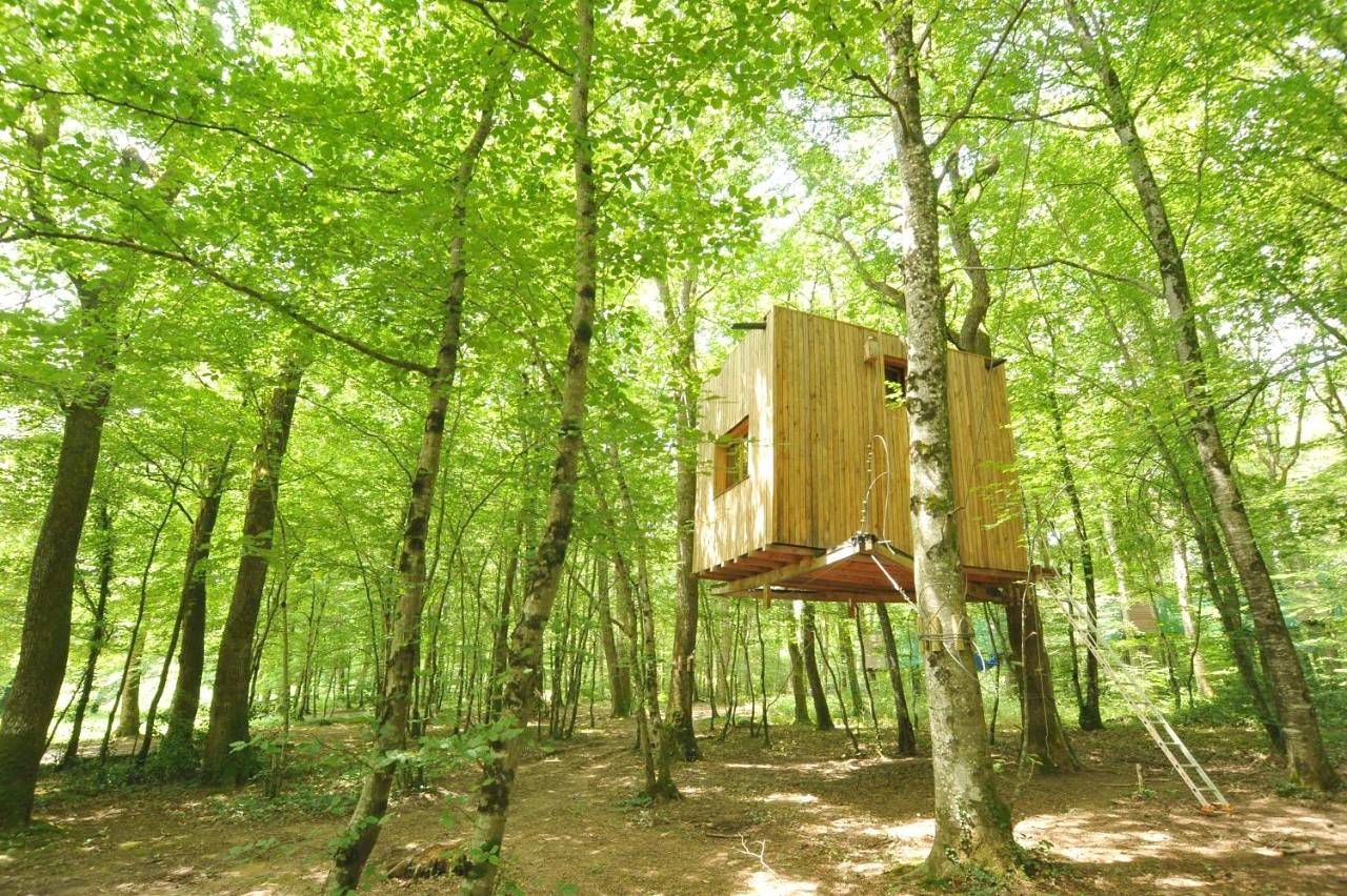 Tree House in Mont-sous-Vaudrey, Jura
