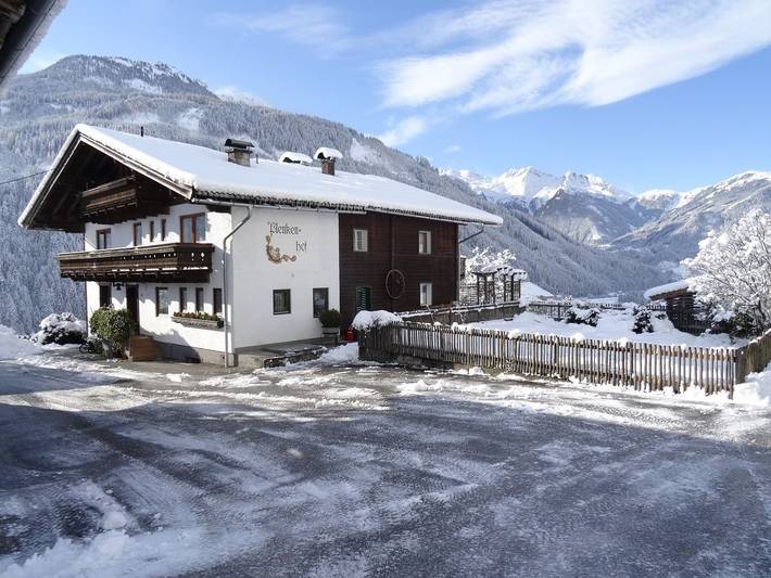 Ferienhaus für 18 Personen, mit Terrasse, kinderfreundlich in Neukirchen am Großvenediger