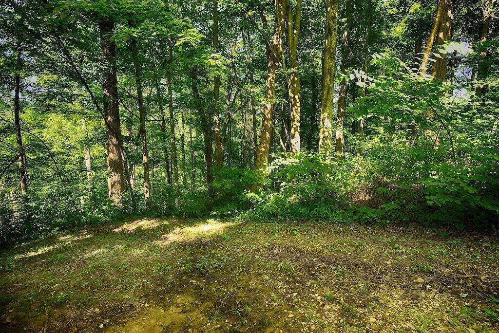 Wildflower Cabin — A Secluded Retreat for Relaxation, Romance, and Nature in Hocking Hills