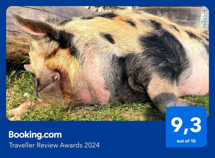 Location de vacances pour 4 personnes, avec vue ainsi que bassin pour enfant et jardin à Choussy - 2