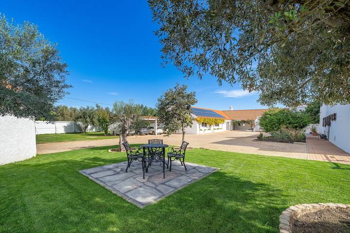 Chambre « Orange Blossom Grove - 3 » avec terrasse partagée, Wi-Fi et climatisation in São Bartolomeu de Messines, District de Faro