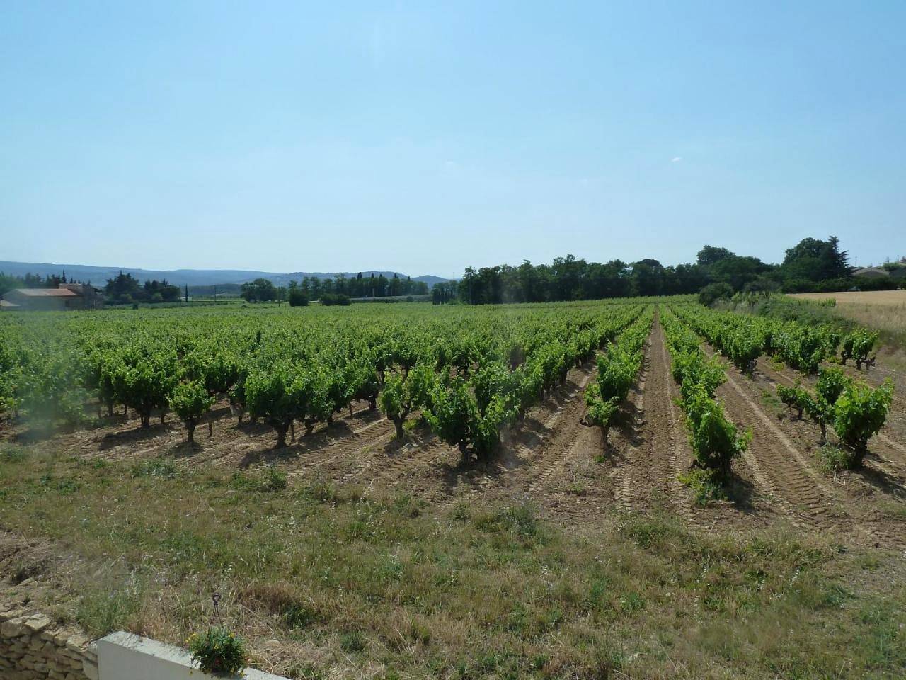 La Vigne in Saint-Just-d'Ardèche, Privas (arrondissement)
