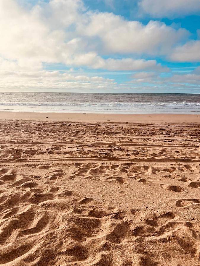 Appartement de vacances pour 4 personnes, avec vue ainsi que piscine et jardin, animaux acceptés - 1