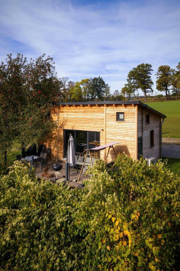 Ferienhaus für 7 Personen, mit Pool und Sauna sowie Garten und Seeblick, mit Haustier in Sachsen - 3