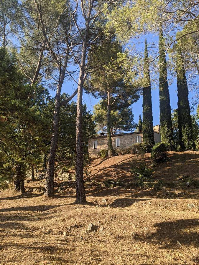 Chambre d’hôte pour 6 personnes, avec Terrasse et Jardin ainsi que Piscine et Vue à Seillans - 3