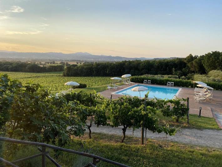 Agriturismo per 4 persone, con Terrazza e Giardino nonché Piscina e Panorama a Torgiano