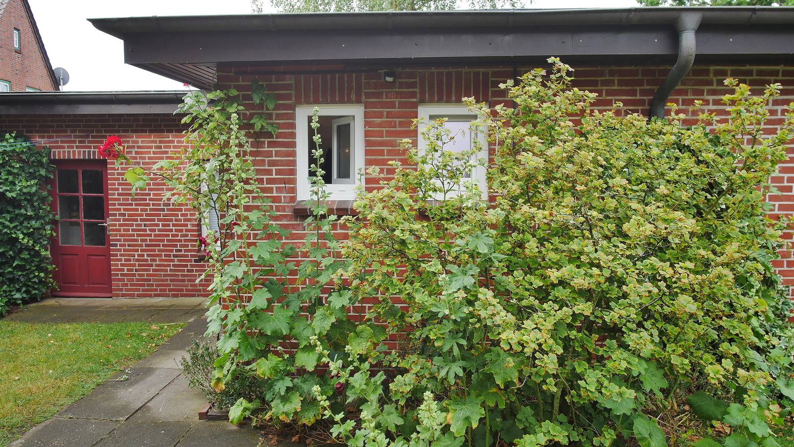 Haus Anna in Wyk auf Föhr (Stadt), Wyk auf Föhr